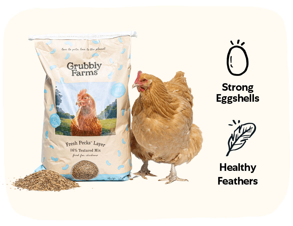 Fresh Pecks Layer Poultry Feed