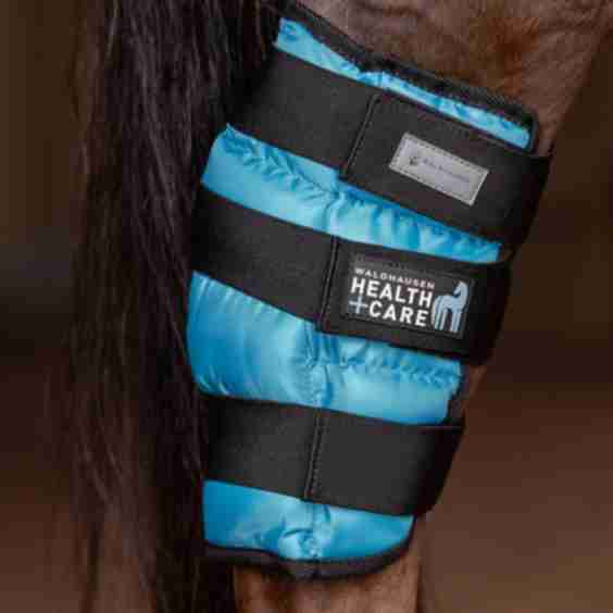 Health + Care Ear Protector With Cold Gel, 1 Piece