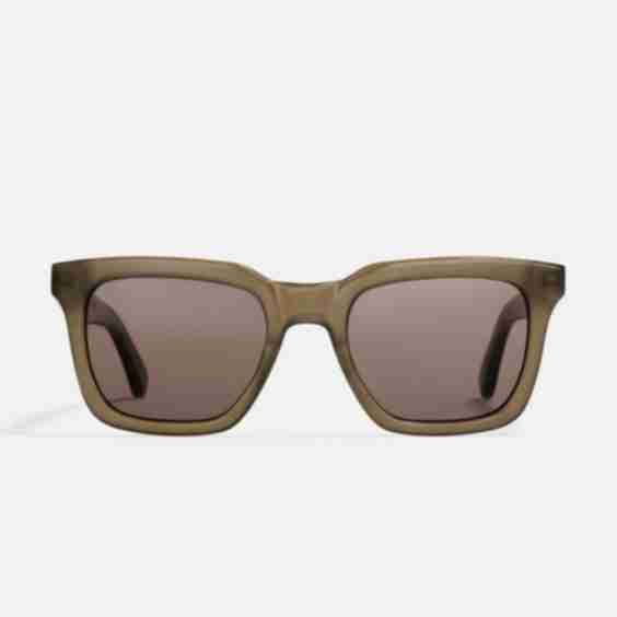 Teddy Jurassic Sunglasses