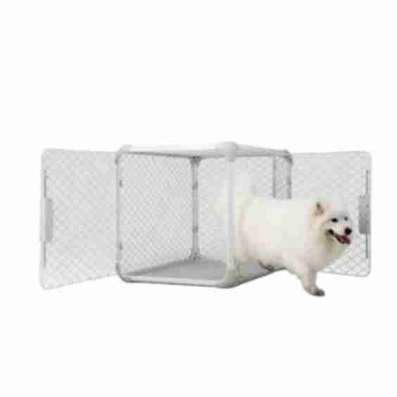 Large Evolv Dog Crate