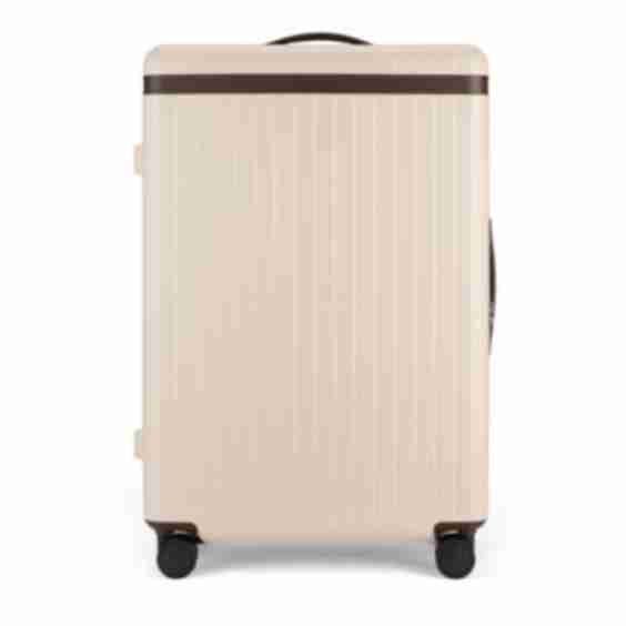 Large Check In Zip Spinner Suitcase