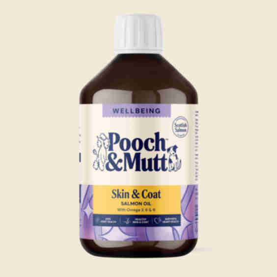 Salmon Oil for Dogs