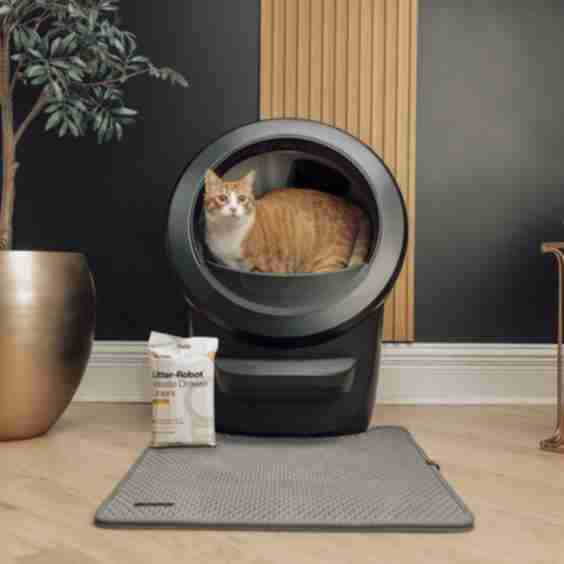 Litter-Robot 4 Insights Bundle