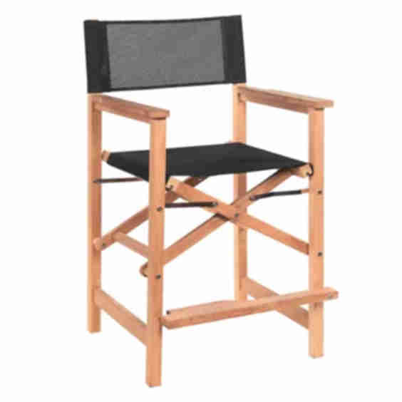 Director Teak Outdoor Counter Height Stool