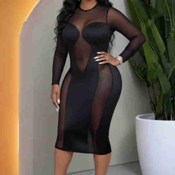 Round Neck Long Sleeve Semi-Sheer Mesh Bodycon Midi Dresses [Pre Order]