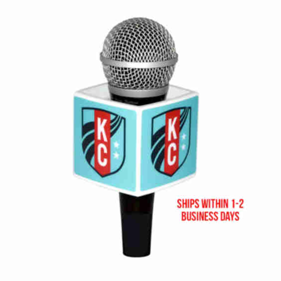 Express 4-Sided Mic Flags