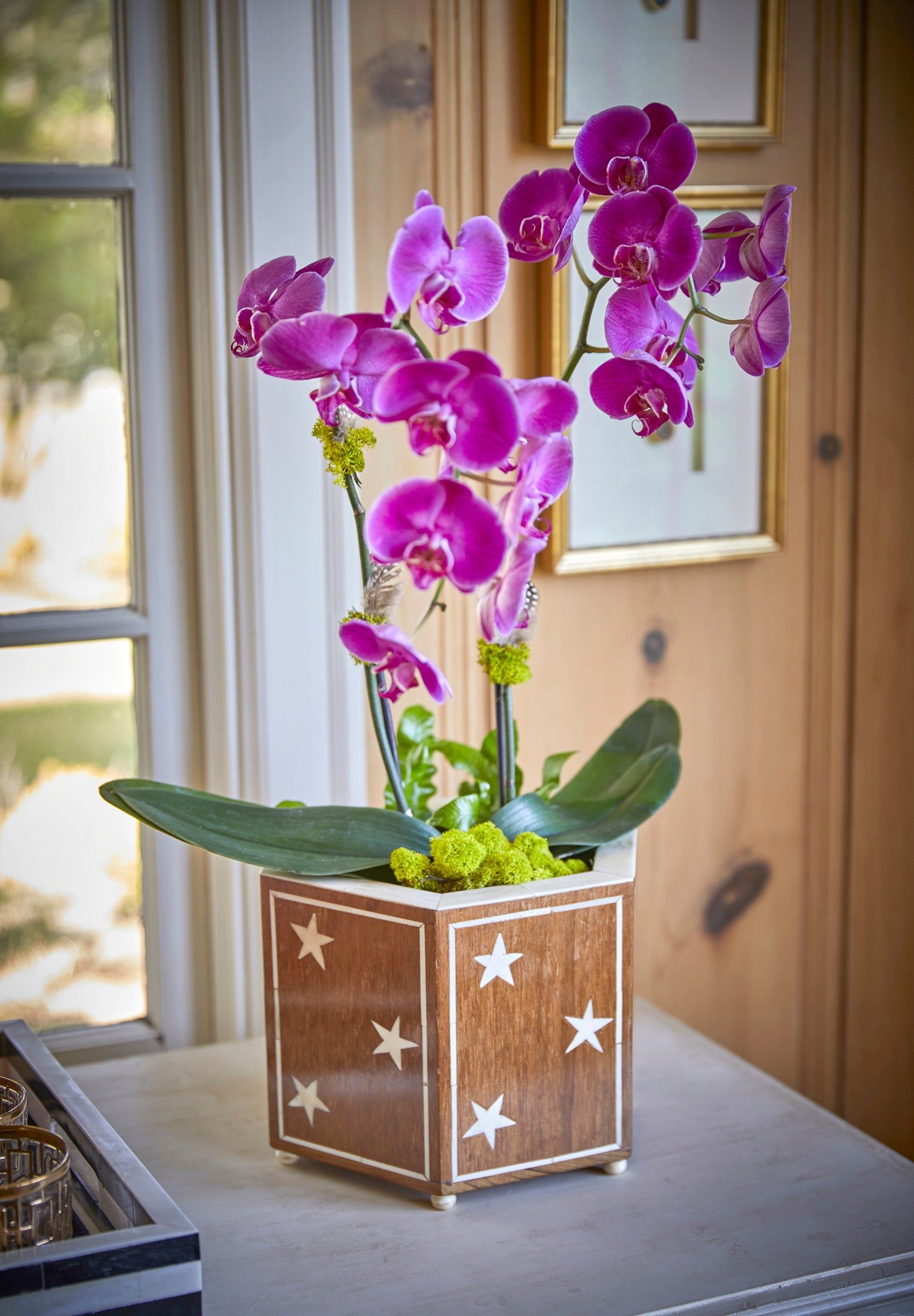 Ziggy Cachepot Planter