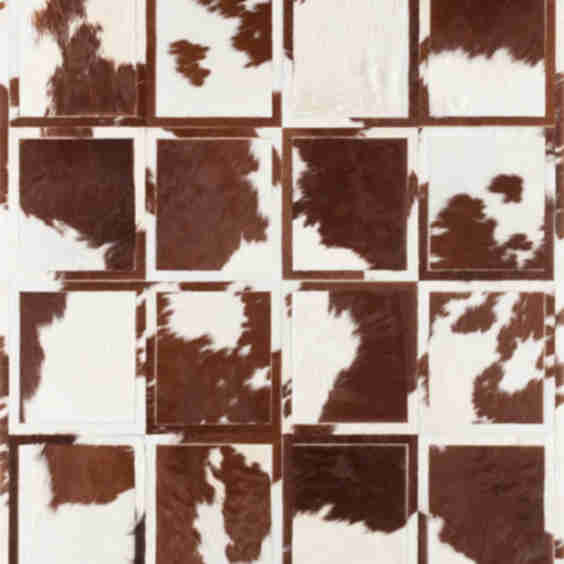 Promenade10' x 4' 6" Rug