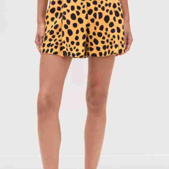 Cheetah Spots Shorts