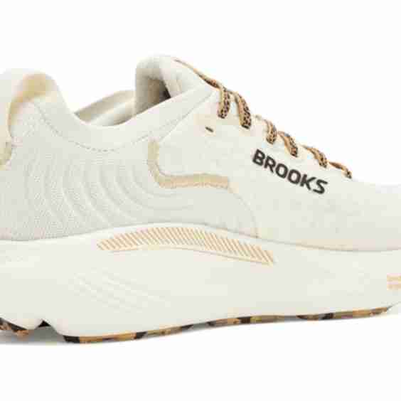 GTS 25 Sneakers