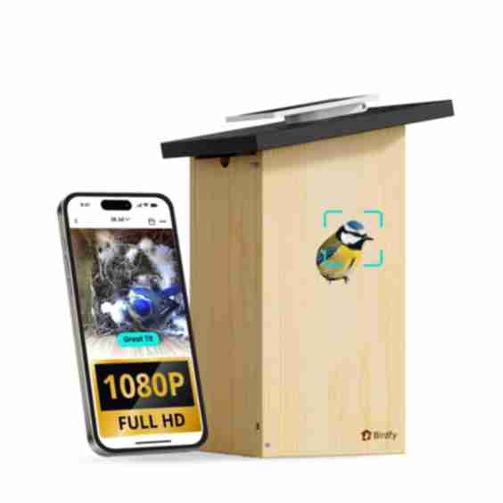 Ebony Lite Smart Bird House With Camera