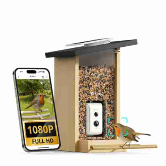 Smart Bird Feeder with Camera and Solar Panel