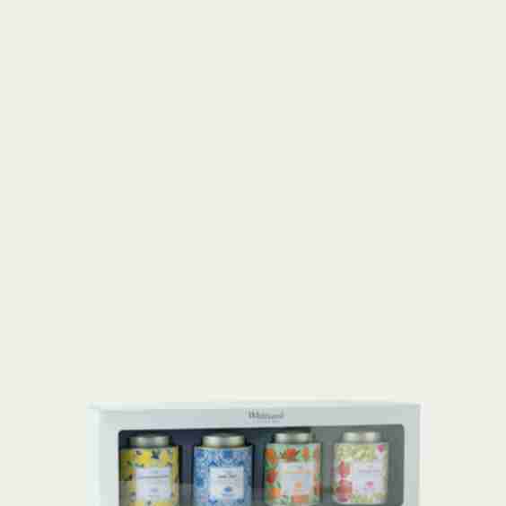 The Afternoon Tea Collection 2024