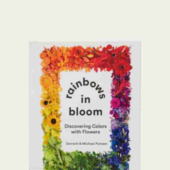Rainbows In Bloom: Discovering Colors With Flowers Book