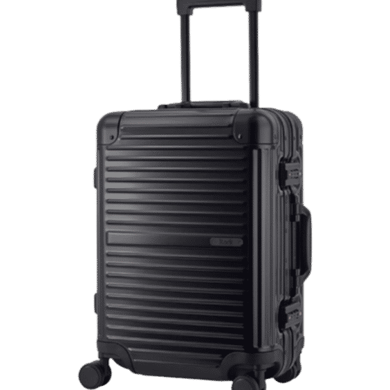 Axel Suitcase