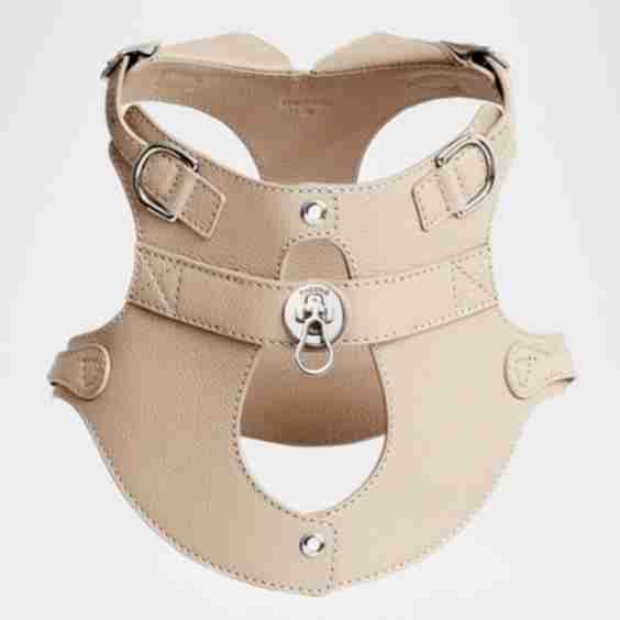 Leather Colombo Dog Harness