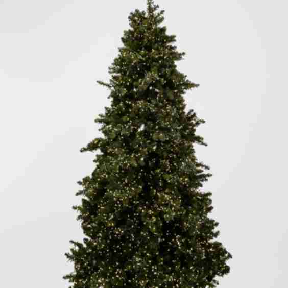 Royal Majestic Pine Pre-Lit Christmas Tree