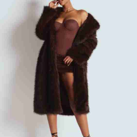 The Brown Fur Coat