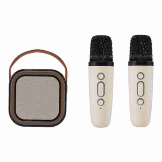 Portable Karaoke Machine with Wireless Microphones and RGB Lights
