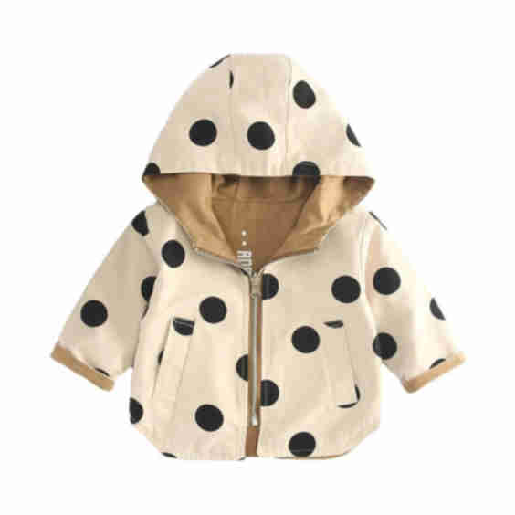 Reversible Hooded Windbreaker