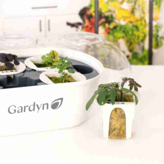 Sprout Nursery