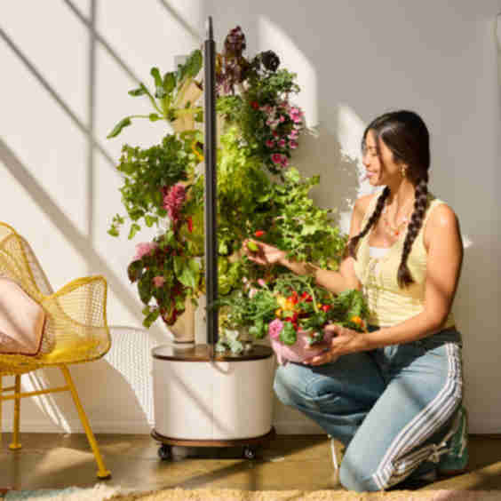  Smart Indoor Hydroponic Garden
