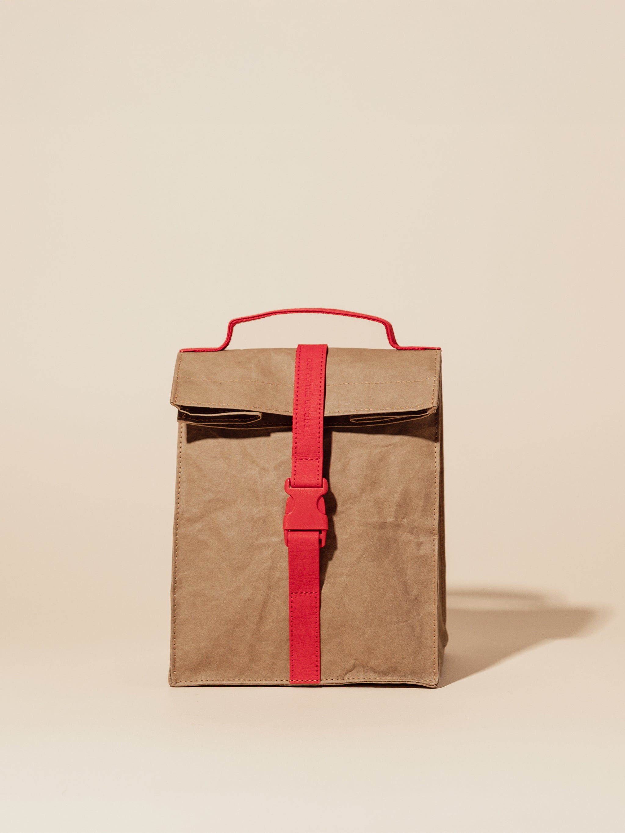 Paper Sack Lunch Cooler