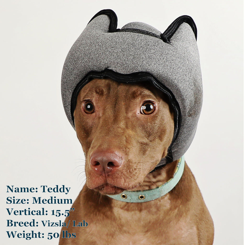 Noise-Cancelling Greyfriars Bobby Headset