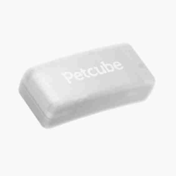 GPS Tracker