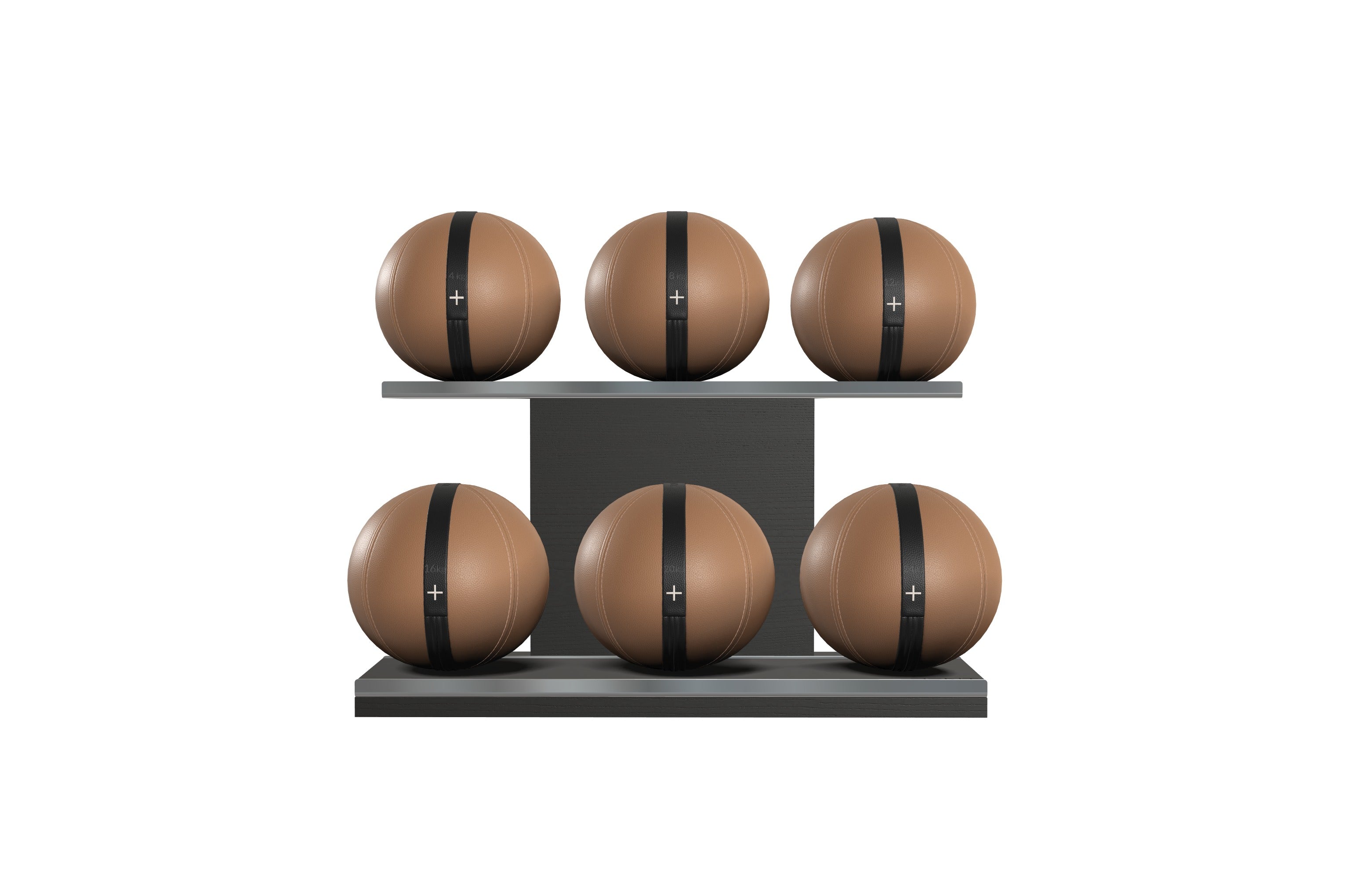 Moxa Set - Weighted Gym Balls with Horizontal Rack