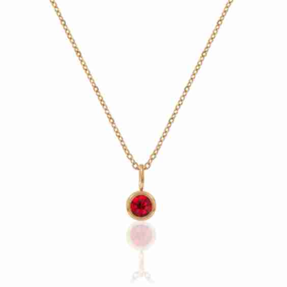 Gold Birthstone Necklace January