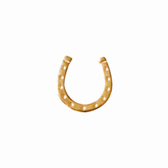 Lucky Horseshoe Lapel Pin