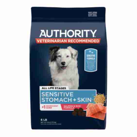 Sensitive Stomach & Skin All Life Stages Dry Dog Food - Salmon & Rice
