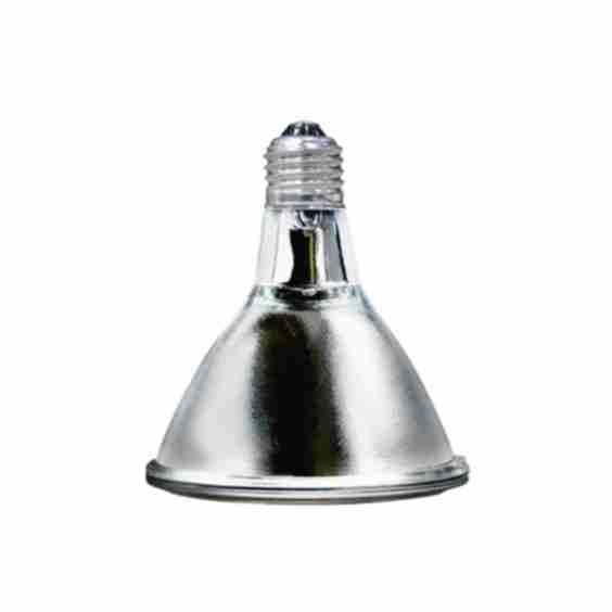Halogen Flood Lamp