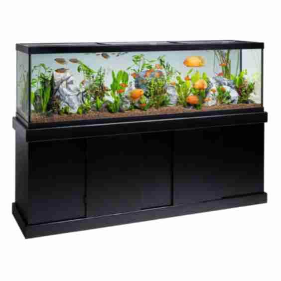 High Definition Led Ensemble 125 G 