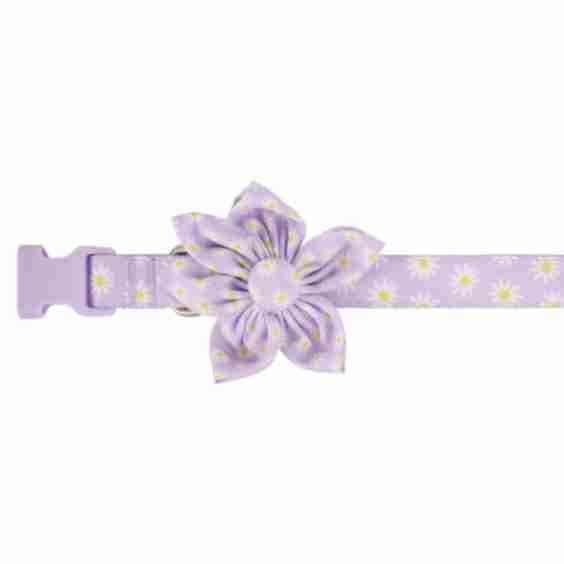 Lavender Daisy Dog Collar