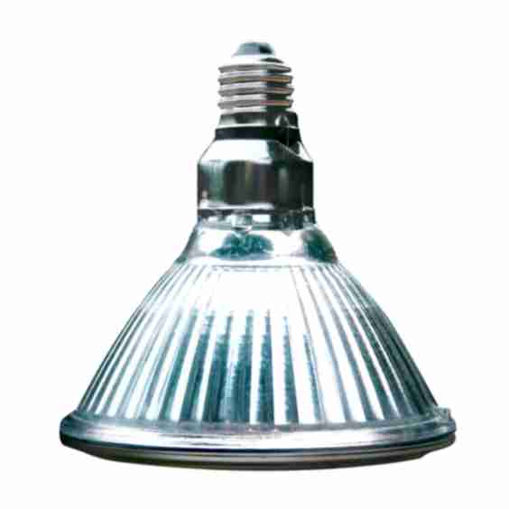 Goldensun Basking Halogen Lamp