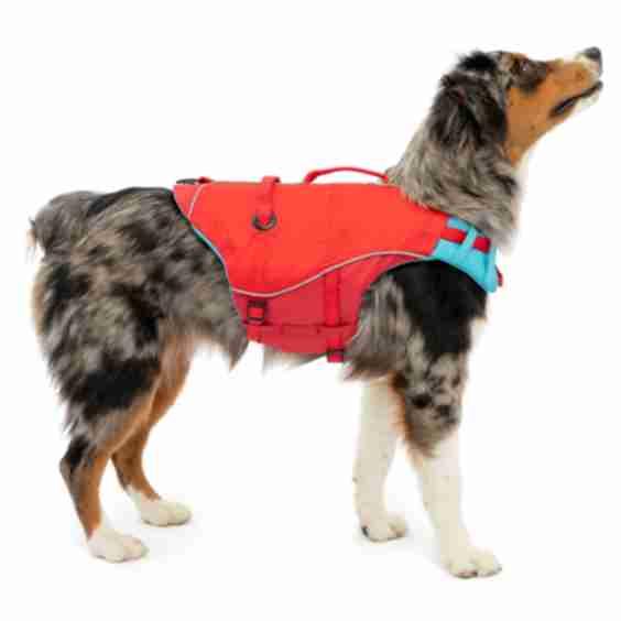 Surf n' Turf Flotation Aid