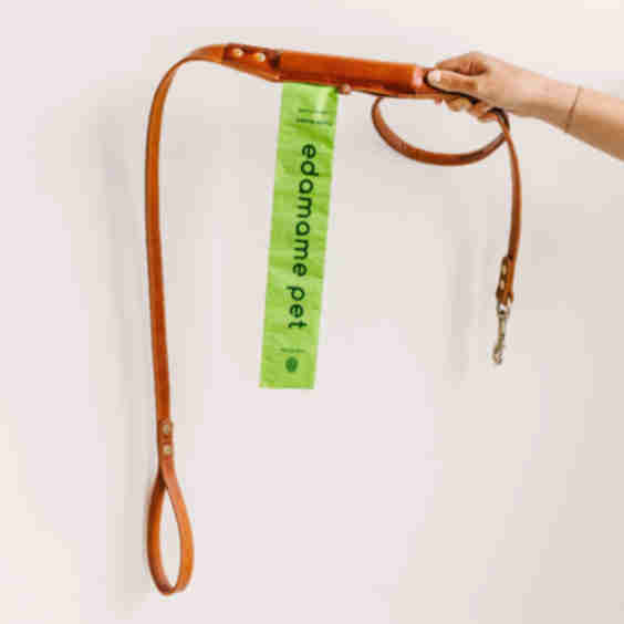 Double Pod Leash