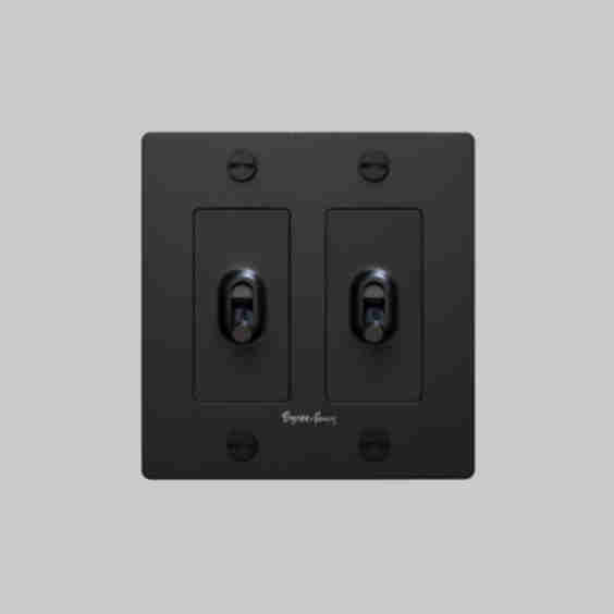 2G Toggle Cross Switch 
