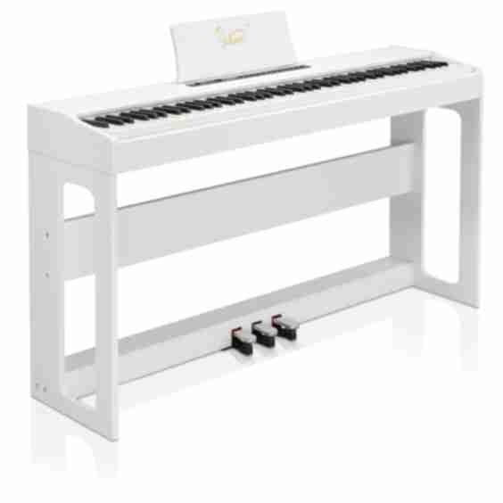  GDP-104 88-Key Fully Weighted Hammer Action Digital Piano for Home 