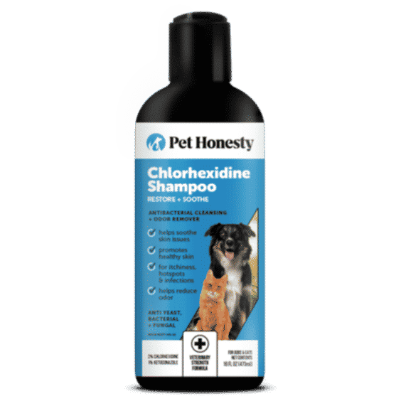 Chlorhexidine Shampoo for Dogs 