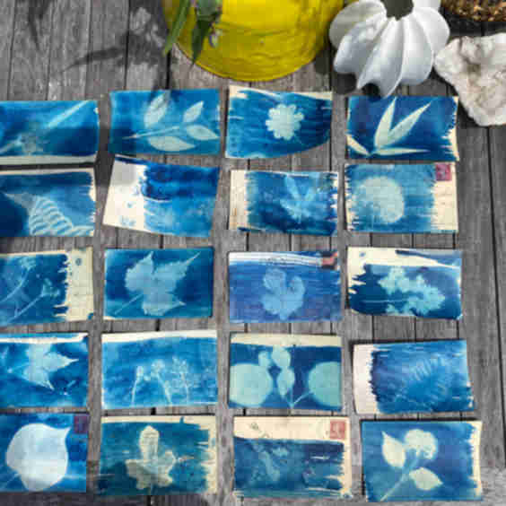 Hampton Cyanotype Series