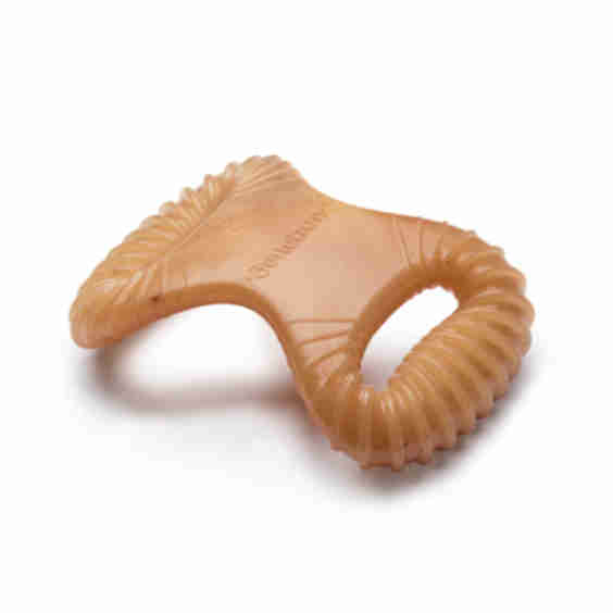 Chicken Dental Chew Dog Toy