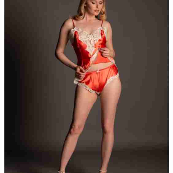 Silk Camisole and Brief Set