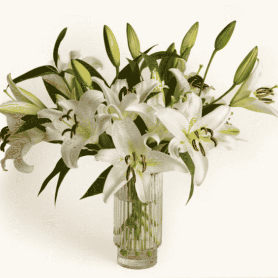 The Condolence Send – Lilies