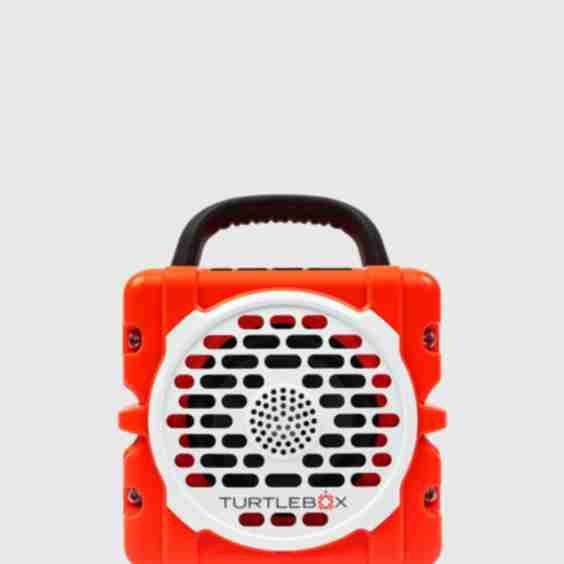 Cub Speaker