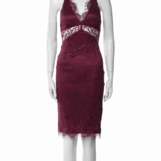 Lace Pattern Knee-Length Dress