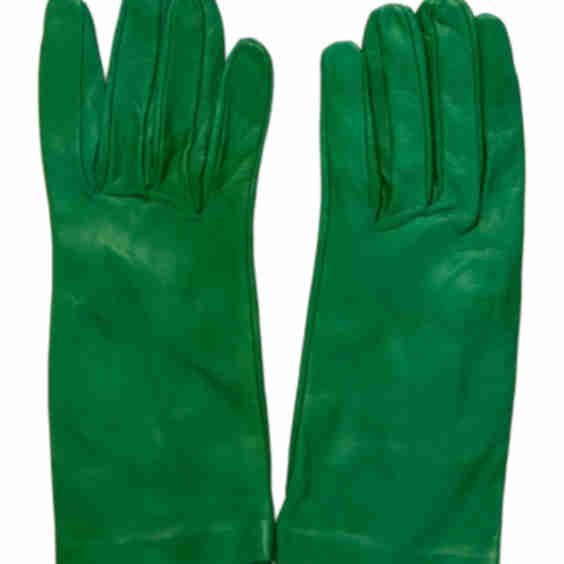 Wrist-Length Gloves