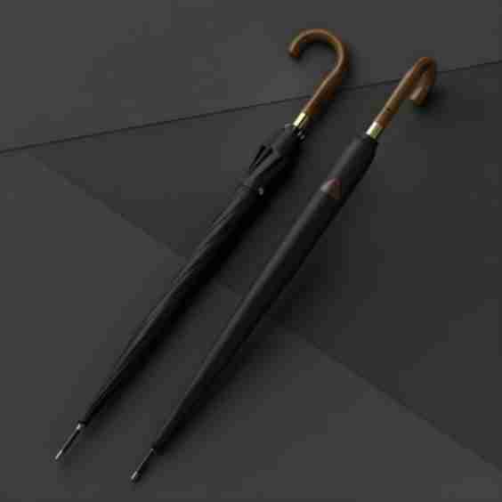Elegant Classic Umbrella - HL120